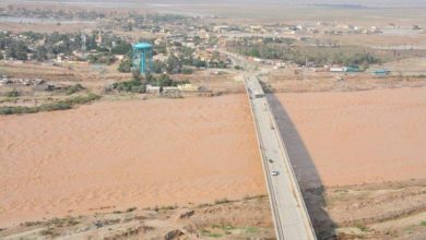 78CAA37E 91A7 49B9 A7B8 1ABBD74DDE55