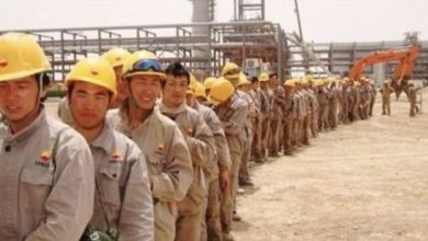 7CA1B16F F276 4D09 BD3E E7B8E1A6D891