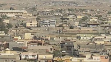 7DA3731A 3822 41F6 816D BD7744BBBFD9