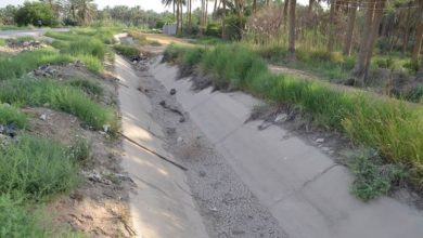 807A80ED BCE5 479E 9E6E DF823D9DEB14