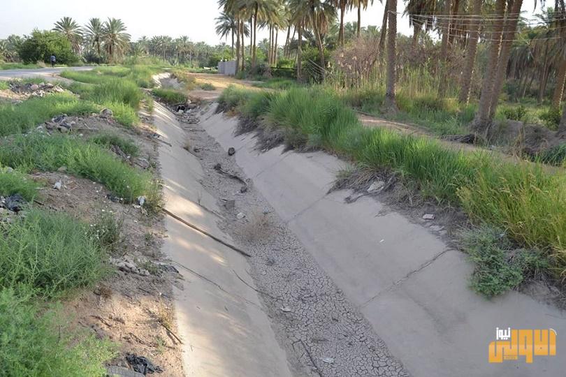 كربلاء.. بساتين “ابو روية” دون مياه منذ 10 سنوات بسبب اخطاء بعملية تبطين الأنهر 1 807A80ED BCE5 479E 9E6E DF823D9DEB14