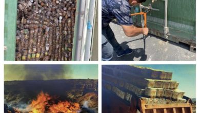 85325D91 59CB 4CDD 8074 B9615A9B2AA1