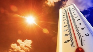 8652CF33 FA96 4733 B9FB 4AF69E6A2009