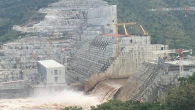 9A833DB3 4DD6 44B7 A25A CAC671B760AB