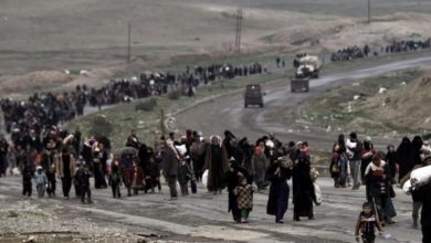 B955E320 C8FA 41E8 8D25 0396E7852BF4