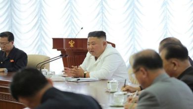 C2642F3E 86B5 4E41 A3C8 D2C0AD436447