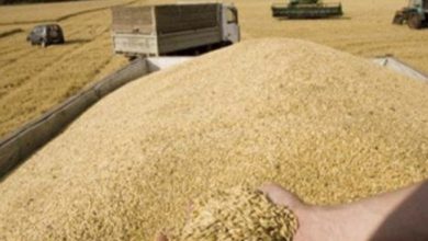 CCFDECAA CAC0 45DB 9D11 A89F6CCF0D7B