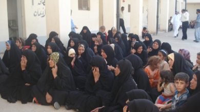 في كربلاء… قرابة 10 آلاف أرملة تتقاضى راتبا واعداد اكبر تطالب بالإعانات 6 CD6CBE3B 273C 448E 88D1 56A2EDD13BB7