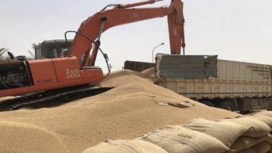 CD72841A BAB5 4204 8A28 7F8CE59B70F6