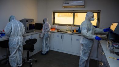 CDF7731D 42B2 49FA 8FF6 A8487FB12CEE