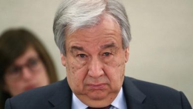 D0CC53CD 190C 4DA3 AC99 210BF6A46D1D