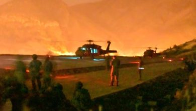 D184E443 0013 4918 8B38 9AFA6C742736