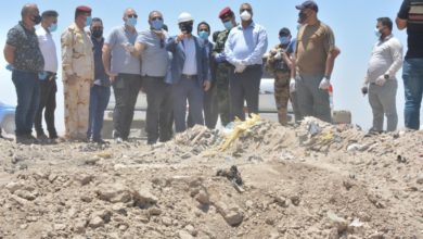 D31FA768 05FA 4C47 B5A5 D60CE06A7D83