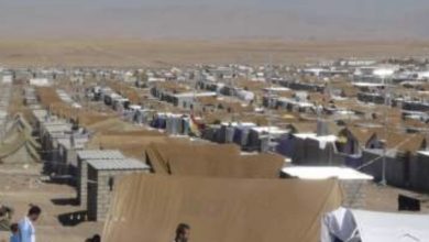 D780134F 0638 447F 8661 E0158C067955