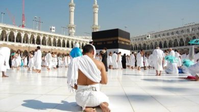 DA233E49 E3E1 43E3 B650 858AB4DAA910