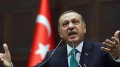 E779CE93 7ADD 43C7 8DA1 B593467333B7