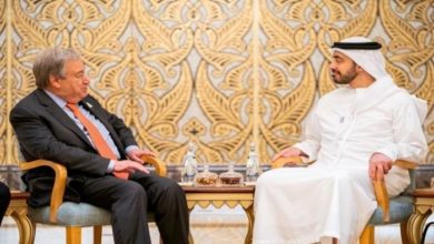 E92EB582 F91E 43E9 AB61 D916D91BCC34