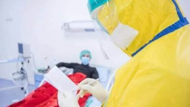 EF178190 6F03 49DB 82A9 E9FF056FC0BF