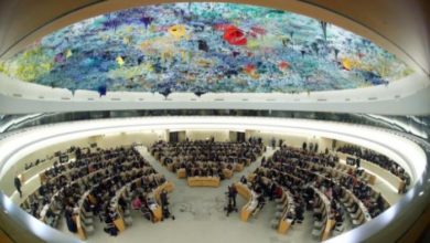 F1AA8358 E325 4D86 8D8D 07191259A83C