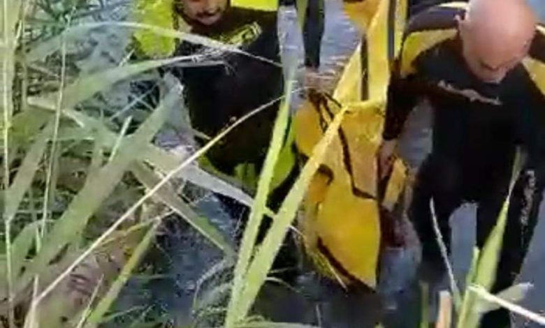 FB IMG 1592660267329