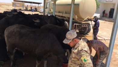 FB IMG 1593516056173