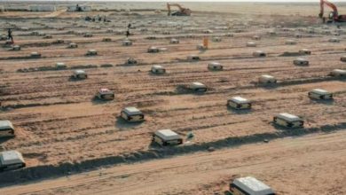 FF8D0DCE 38A1 401D BD69 DB09CCD56297