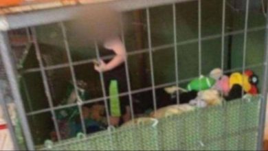 IMG 20200629 211441 515