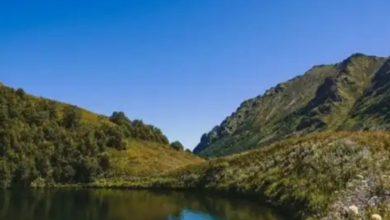 IMG 20200630 163243 973