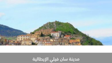 IMG 20200630 173442 532