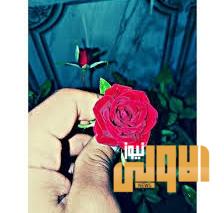 IMG ٢٠٢٠٠٦٢٧ ١٦٤٤٣٩