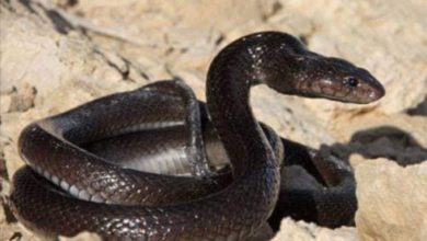 Screenshot ٢٠٢٠٠٦١٢ ٢١٥٥١٢