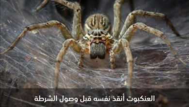 Screenshot ٢٠٢٠٠٦١٨ ٠٤٠٣١١