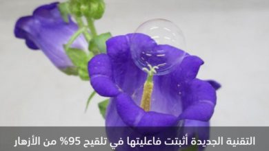 Screenshot ٢٠٢٠٠٦١٩ ١٥٣٤٢٢