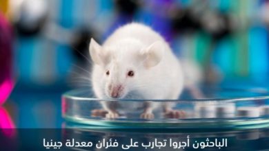 Screenshot ٢٠٢٠٠٦٢٠ ٠٢١٣٥٤