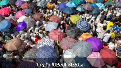 Screenshot ٢٠٢٠٠٦٢٥ ٠٠٠٩٥٩