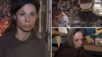 Screenshot ٢٠٢٠٠٦٢٦ ٢٠١٠٢٠