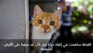 Screenshot ٢٠٢٠٠٦٢٧ ١٥٥٠١٦