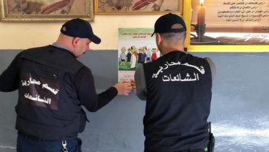 dd429ee23a684ae3ff2de20cc0c641a8