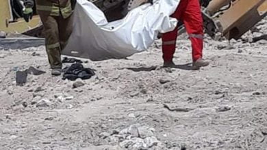 e7f5a43222fd6c4c052df32379c070ff