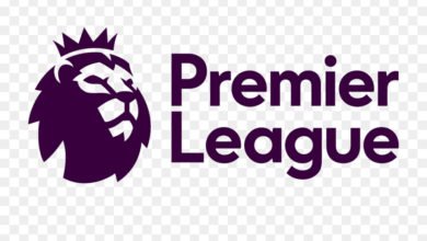 kisspng 2016u201317 premier league 1992u201393 fa premier premier league transparent background 5a7716860ac775.4790613215177539900442