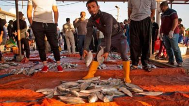 صيادوا البصرة يشتكون 4 ٢٠٢٠٠٦١٣ ١٥٤٤٤٩