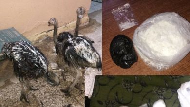 ٢٠٢٠٠٦٢٧ ١١١٧٣١