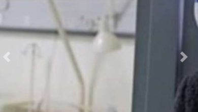 ٢٠٢٠٠٦٢٨ ١٣٠٤١٠