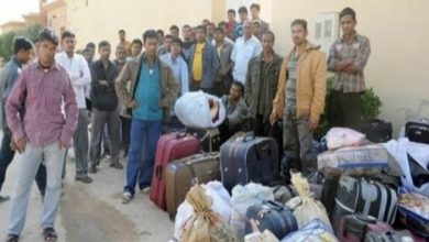 العمال الاجانب يعانون بسبب كورونا 5 ٢٠٢٠٠٦٢٩ ١٠١٣٣٩