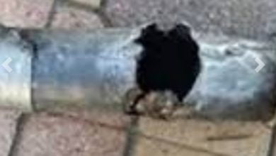 ٢٠٢٠٠٦٢٩ ١١٢٣٤٤