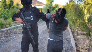 06067437 6D12 4418 A715 6B8A43B75BE9