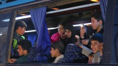 09936286 A9F0 44F2 A363 A94E1254031D