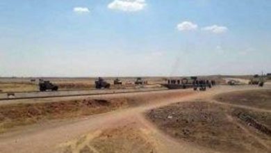 0C364ED1 D422 4756 B8CC B81E19333576