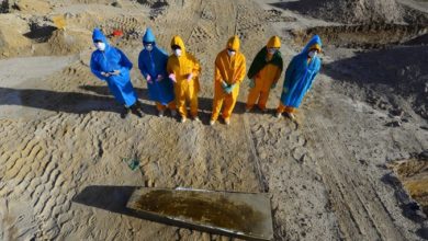 0DCF8DE2 7DE8 45F6 8356 4DB2385E9049