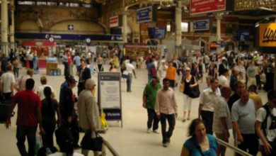 0EFD25A5 D938 4D7D 95EE B7183FCFD875